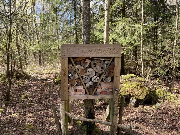 Insektenhotel im Morsumer Wäldchen