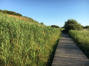 Holzweg an der Tinnumburg
