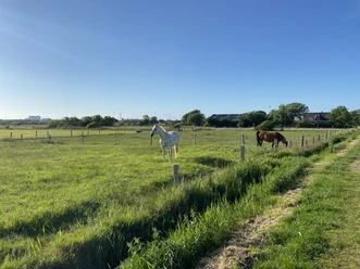 Pferdehof Sylt