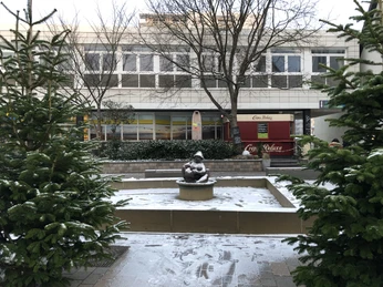 Die Wilhelmine im Schnee