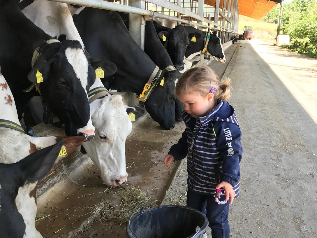 Bürger Grebe Stallführung - Hanna Krippe.jpg