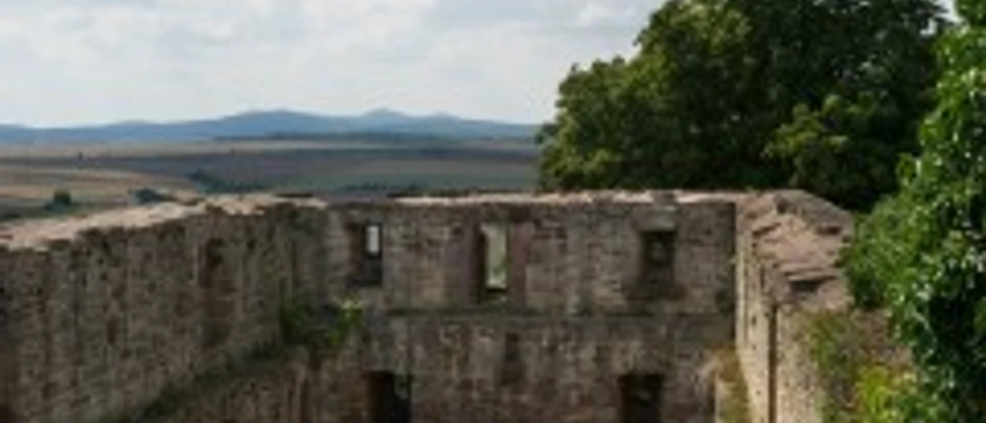 grebensteinburgruine_2010-08-14_4121