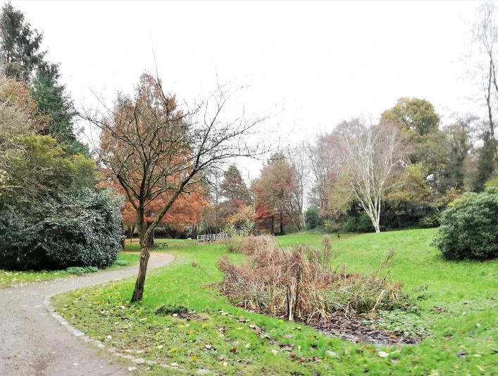 Baumgarten im Luftkurort Burg/Dithmarschen