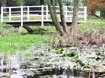 Baumgarten im Luftkurort Burg/Dithmarschen
