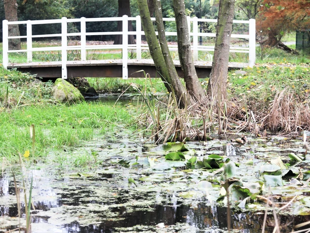 Baumgarten im Luftkurort Burg/Dithmarschen
