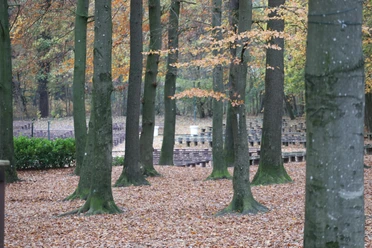 Kurpark Albersdorf