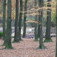 Kurpark Albersdorf
