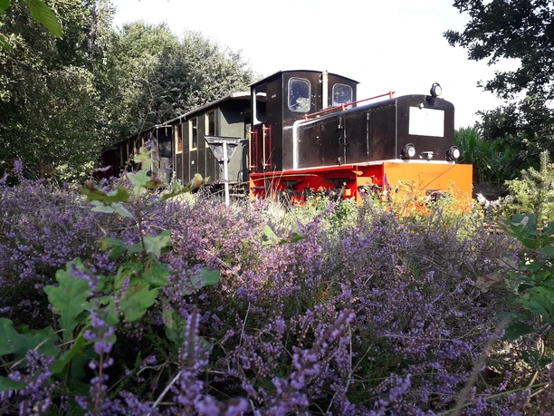 20190823_092857-klein