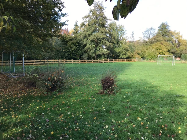 Grüne Wiese mit Fußballtor, umgeben von Bäumen und einem Holzlattenzaun, an einem sonnigen Tag.