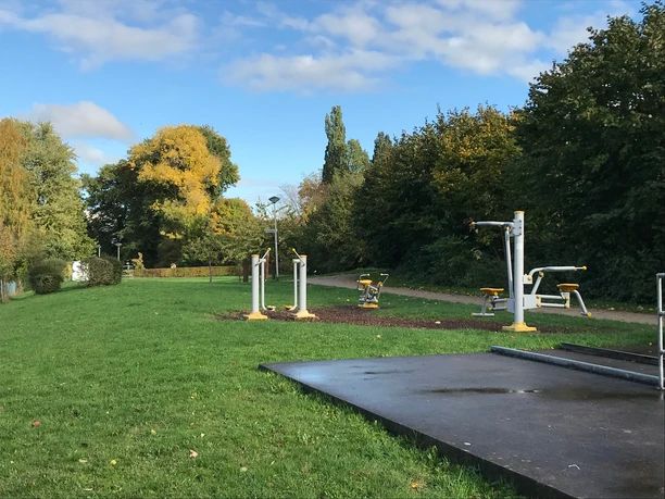 Outdoor-Fitnessgeräte im Grünen, umgeben von Bäumen und buntem Herbstlaub unter blauem Himmel.