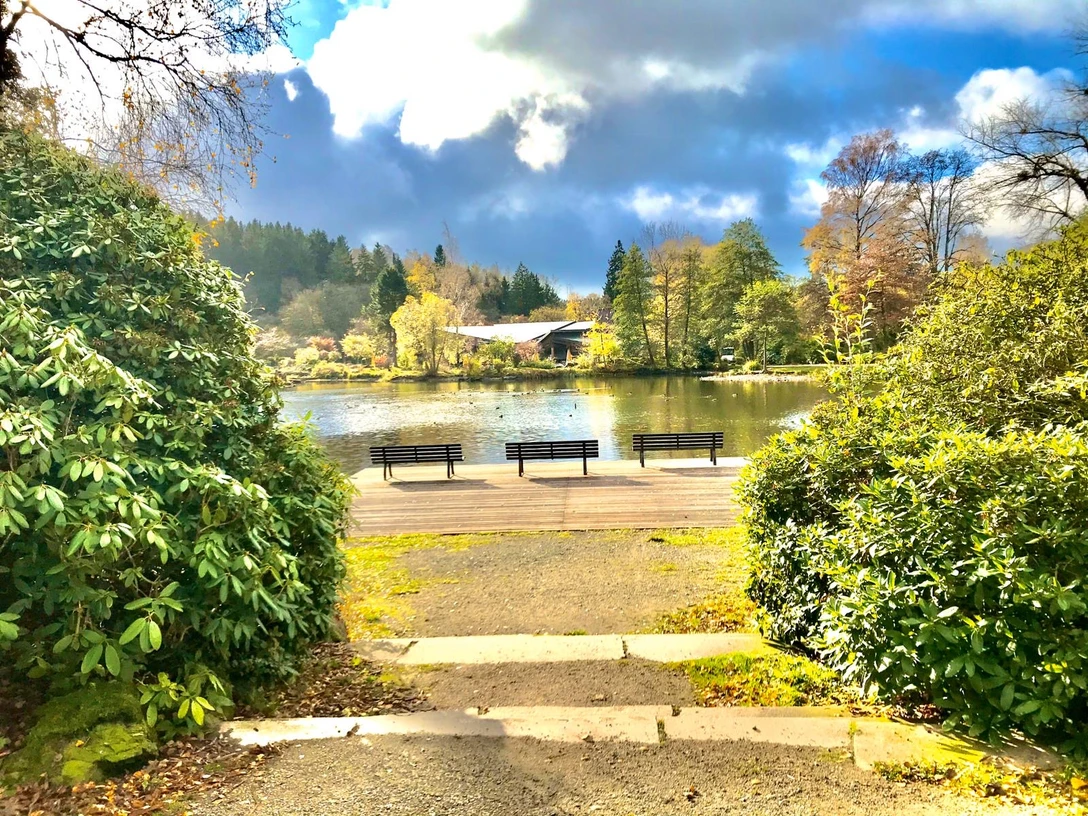 Blick auf den Kurparkteich und Bühne