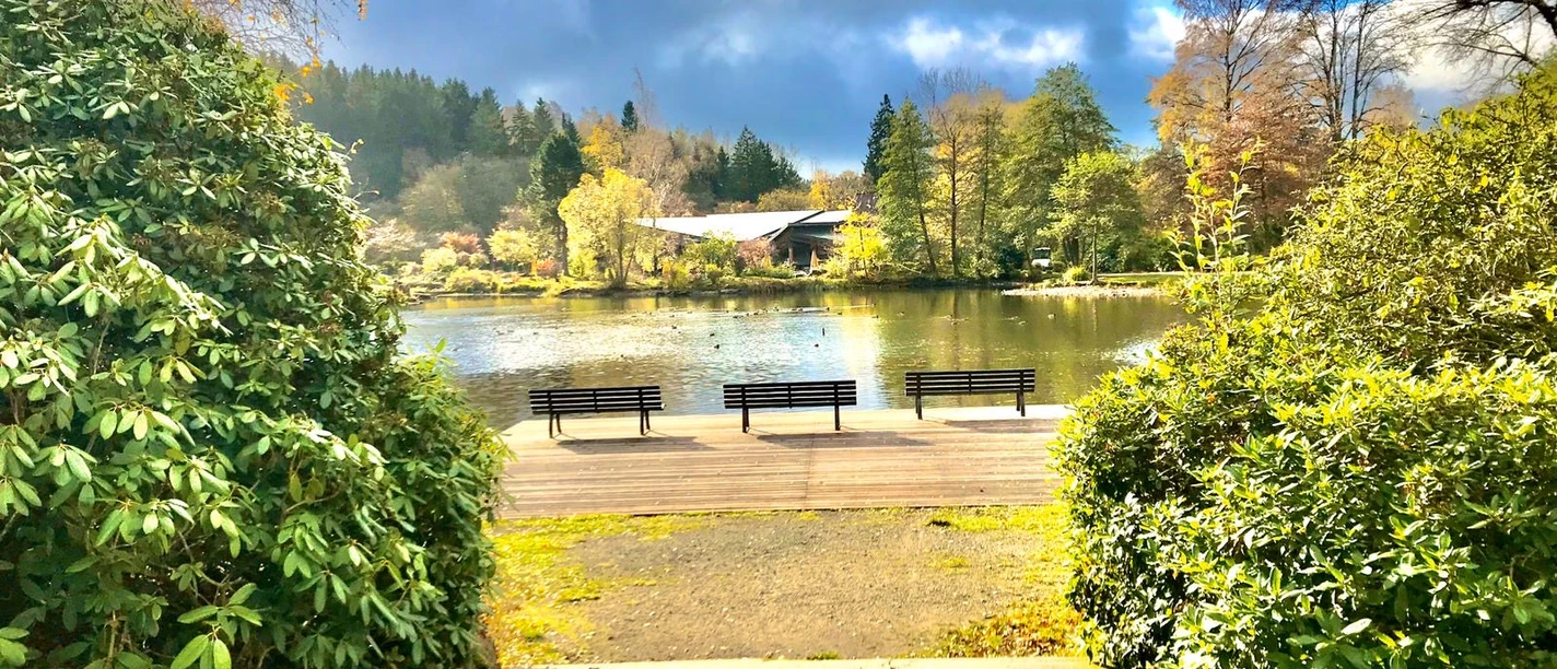 Blick auf den Kurparkteich und Bühne