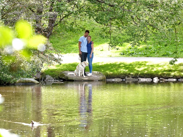 Pärchen beim Spaziergang mit dem Hund