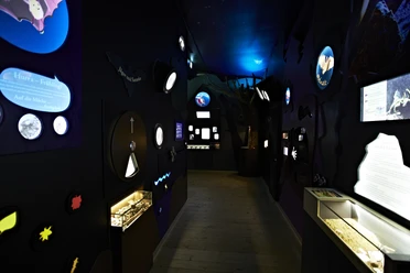 FledermausReich Ausstellung