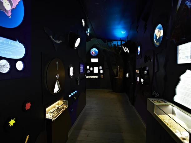 FledermausReich Ausstellung