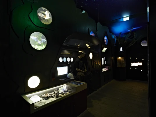 FledermausReich Ausstellung