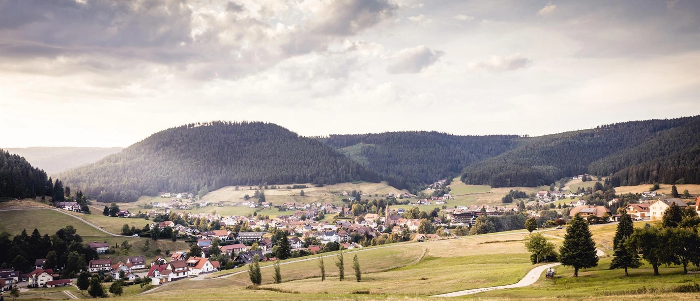 Ortsansicht von Mitteltal