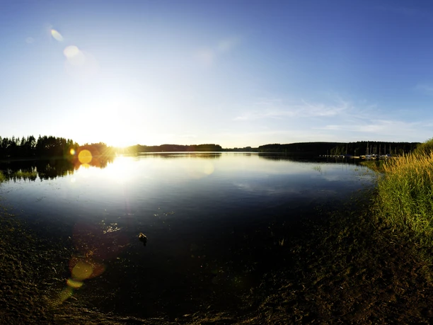 beschauliche Idylle an der Brucher-Talsperre Ein ruhiger See mit Spiegelung der Sonne, umrahmt von Schilf und Wäldern unter blauem Himmel.