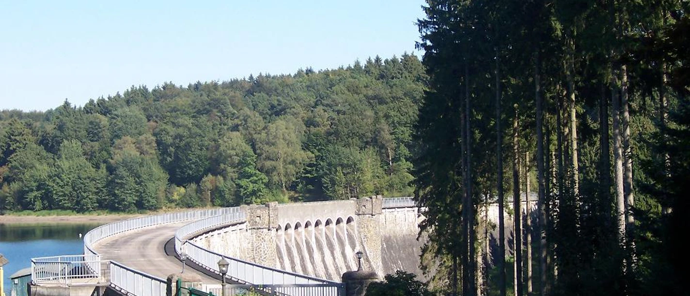 Mediendatei Große, geschwungene Staumauer, umgeben von dichten Nadel- und Laubwäldern bei klarem Himmel.