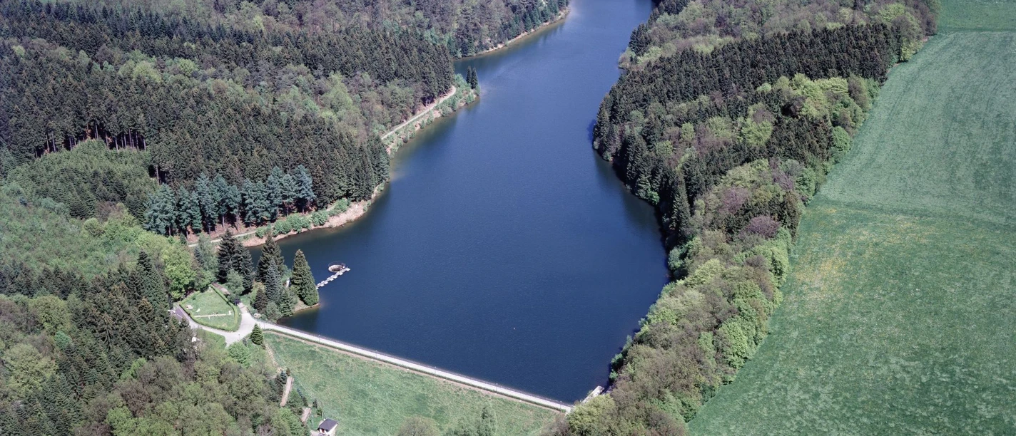 Schevelinger Talsperre Luftaufnahme eines gewundenen Sees, umgeben von dichten Wäldern und grünen Wiesen.