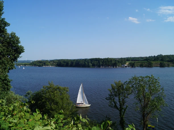 Baldeneysee Ein Segelboot fährt über den Baldeneysee in Essen an einem sonnigen, klaren Tag, umgeben von Natur.
