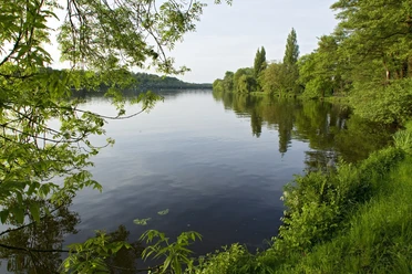 Baldeneysee Ein ruhiger See, umgeben von üppigem Grün und Bäumen, spiegelt den klaren Himmel wider.