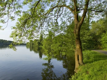 Baldeneysee <p>Landschaft am Baldeneysee in Essen, mit grünem Baum am Ufer und ruhigem Wasser bei Sonnenschein.</p>
