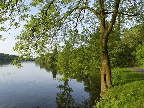Baldeneysee <p>Landschaft am Baldeneysee in Essen, mit grünem Baum am Ufer und ruhigem Wasser bei Sonnenschein.</p>
