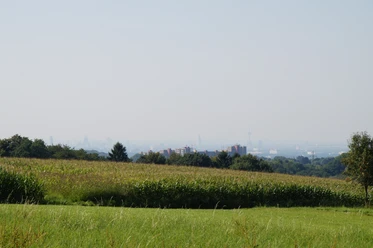 Domblick Kämersheide Sanfte Hügel mit grünen Feldern und einem Fernblick auf die Skyline einer Stadt unter blauem Himmel.