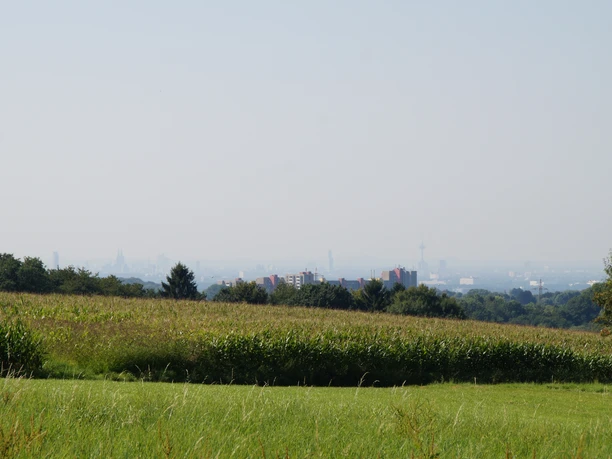 Domblick Kämersheide Sanfte Hügel mit grünen Feldern und einem Fernblick auf die Skyline einer Stadt unter blauem Himmel.