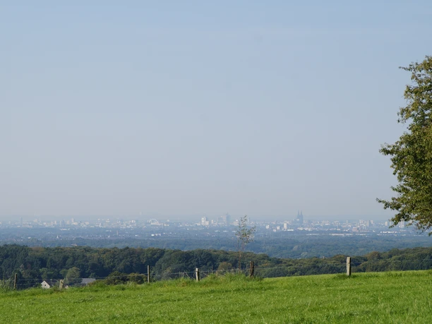 Domblick bei Odenthal-Voiswinkel Blick auf das Kölner Stadtpanorama in der Ferne, eingerahmt von grünen Feldern und Bäumen im Vordergrund.