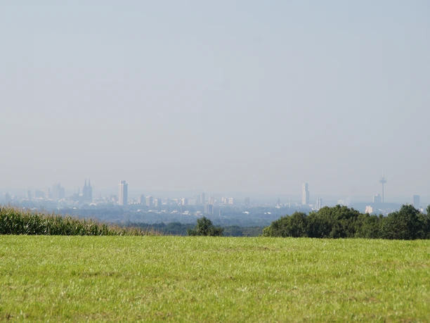 Domblick Uppersberg Blick über ein grünes Feld auf die skyline von Köln, im Hintergrund Fernsehturm und Dom erkennbar.