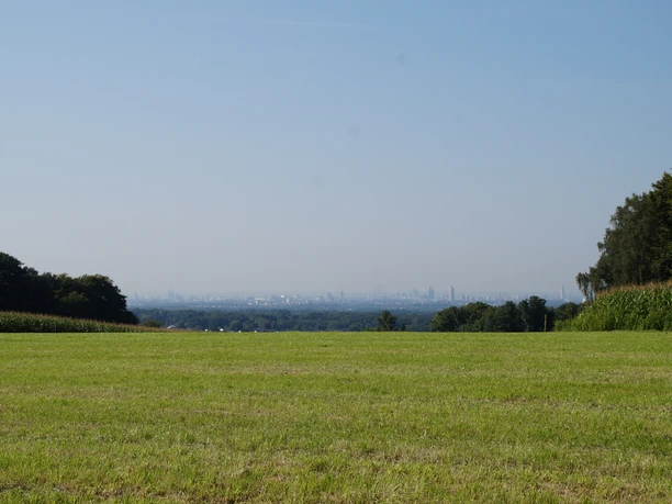 Domblick Uppersberg Weite Wiese im Vordergrund, dahinter viel Grün und am Horizont eine leicht verschwommene Stadtsilhouette.