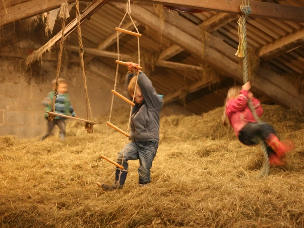Erlebniswelt Bauernhof Kinder spielen fröhlich auf einer Heuboden-Schaukel, umgeben von Heu und Holzstrukturen.