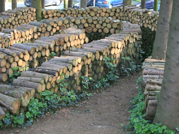 Pütz-Roth - Gärten der Bestattung Ein verwinkelter Pfad führt durch gestapelte Holzscheite zwischen Bäumen, umgeben von Efeu.