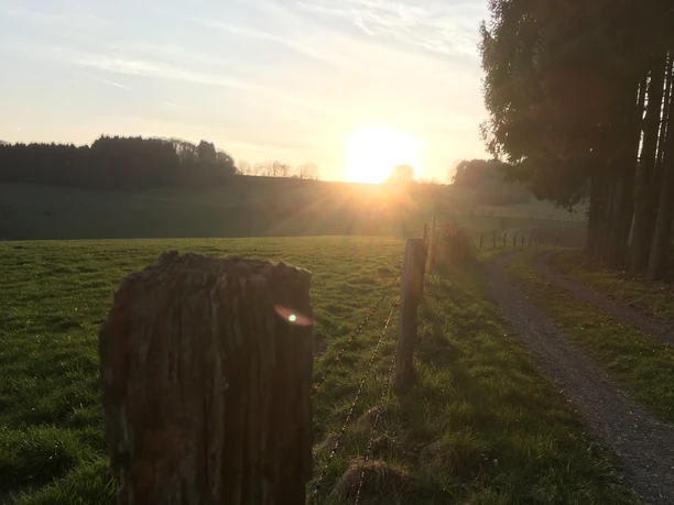 Wanderweg bei Lobscheid Sonnenuntergang über grüner Wiese und Wald, ein rustikaler Holzzaun steht im Vordergrund.