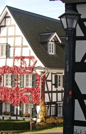 Fachwerkhäuser in der Altstadt Fachwerkhaus mit roten Kletterpflanzen in Ruppichteroth bei Sonnenschein, weitere Fachwerk-Details sichtbar.