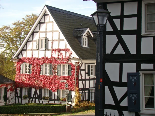 Fachwerkhäuser in der Altstadt Fachwerkhaus mit roten Kletterpflanzen in Ruppichteroth bei Sonnenschein, weitere Fachwerk-Details sichtbar.