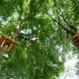 Hochseilgarten K1 Ein Kind überquert einen abenteuerlichen Seilpfad im Kletterpark, umgeben von grünen Baumkronen.