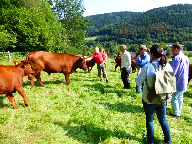 Klosterhof Bünghausen Gruppe von Menschen betrachtet rotbraune Rinder auf einer grünen Wiese, umgeben von Waldlandschaft.