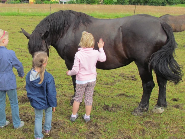 Klosterhof Bünghausen Drei Kinder streicheln ein großes, schwarzes Pferd auf einer grünen Wiese.