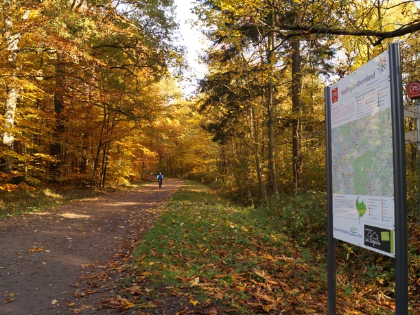 Waldweg mit Knotenpunkttafel Radregion Rheinland <p>Ein herbstlicher Waldweg in Rösrath mit buntem Laub und einem Info-Schild am Wegrand.</p>