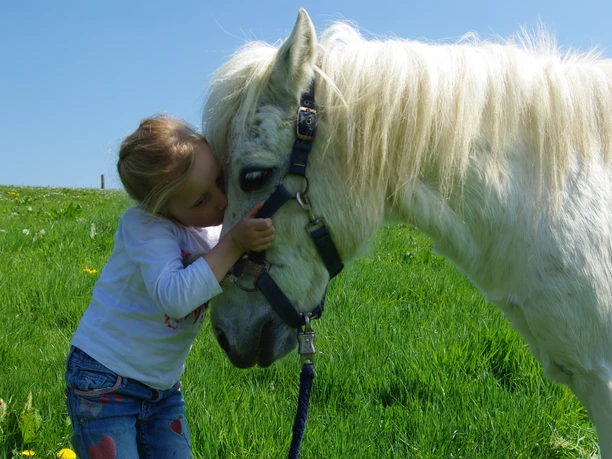 Mediendatei Ein kleines Mädchen umarmt liebevoll ein weißes Pony auf einer grünen Wiese unter klarem Himmel.