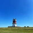 Foto Winning Mühle.jpeg Eine rote Windmühle steht auf einem grünen Hügel unter einem strahlend blauen Himmel.