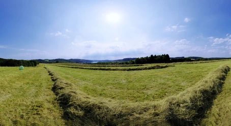 Blick auf die Dhünntalsperre Weite, gepflegte Wiesenlandschaft unter blauem Himmel mit Dominanz der frischen, grünen Natur.