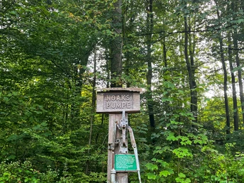 Ein bewaldeter Bereich mit einer handbetriebenen Wasserpumpe aus Holz, umgeben von dichtem Grün.