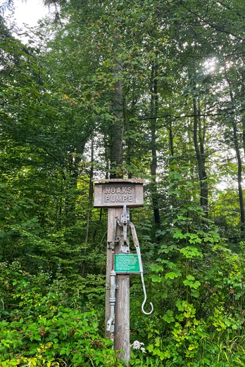 Foto Noaks Pumpe.jpeg Ein bewaldeter Bereich mit einer handbetriebenen Wasserpumpe aus Holz, umgeben von dichtem Grün.