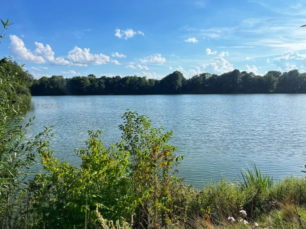 Foto Padersee.jpeg Ein ruhiger See mit umgebenden Bäumen, darunter blühende Wildpflanzen unter einem klaren Himmel.