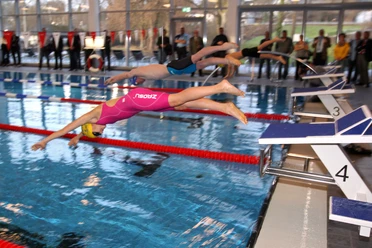 Wiehler Wasserwelt Mehrere Schwimmer starten gleichzeitig im Hallenbad von den Startblöcken für ein Wettkampfrennen.
