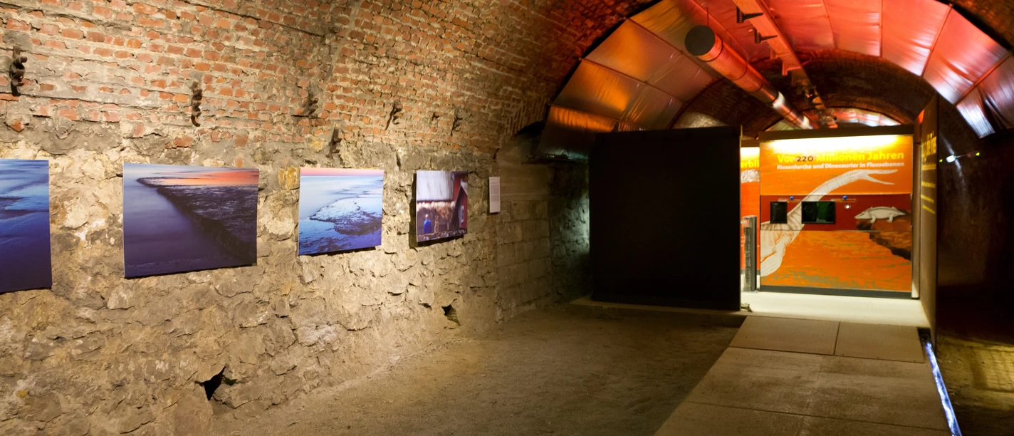 Zeittunnel Wülfrath Ein unterirdischer Gewölbegang mit beleuchteten Wandbildern und einem beleuchteten Eingang am Ende.